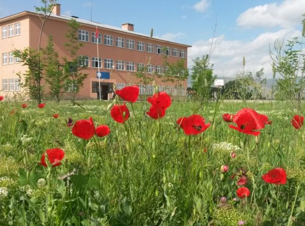 Düzkışla Ortaokulu Fotoğrafı